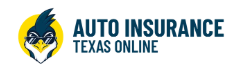 Auto Insurance texas Online2