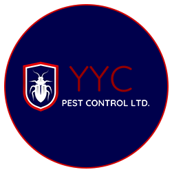 YYC PEST CONTROL99