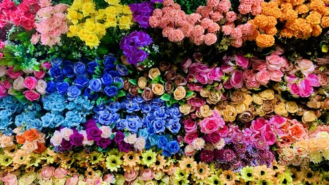 TheFlorist